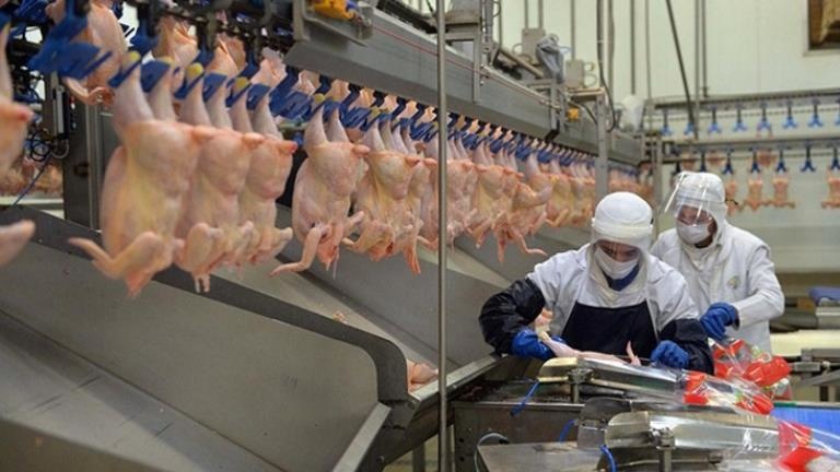 Tavuk Eti İhracatına Kısıtlama Getirildi, Fiyat Artışı Devam Ediyor