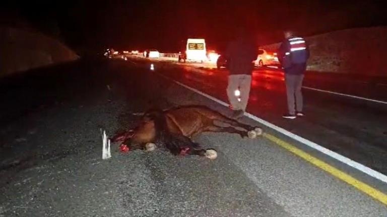 Bingöl’de trafik kazasında 1 kişi hayatını kaybetti, 5 kişi yaralandı