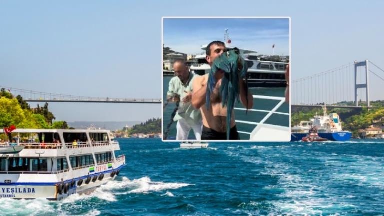İstanbul Boğazı’nda Yolcu Sahipli Papağan Denize Düştü