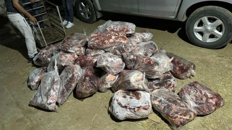 1 ton domuz eti ele geçirildi Yakalanmasalar vatandaşa yedireceklerdi
