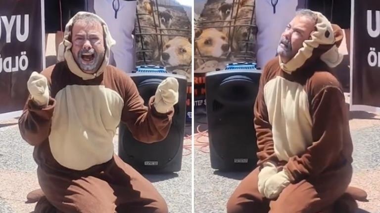 Kilis’te ilginç gösteri: Köpek kostümü giyen adam hüngür hüngür ağladı