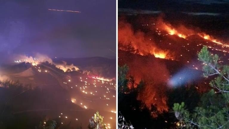 Adana’da korkutan orman yangını Çok sayıda ekip sevk edildi
