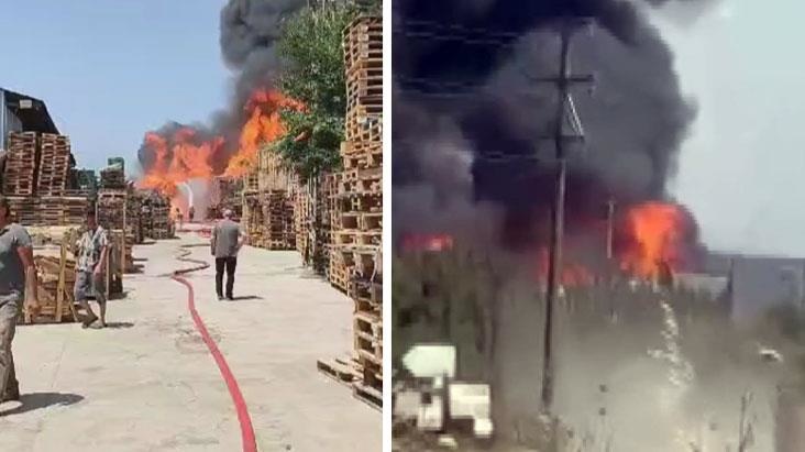 Kocaeli'de bir palet fabrikasında yangın çıktı