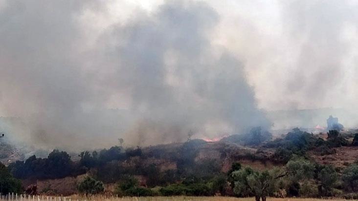 Aydın'ın Didim ilçesinde orman yangınına müdahale eden uçak, Bafa Gölü'ne düştü
