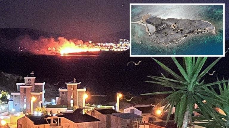 İzmir’deki yangında Çiçek Adası’nın tamamı küle döndü