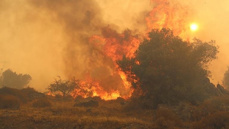 İzmir’in Dikili ilçesinde orman yangını Alevler saatler sonra kontrol altına alındı